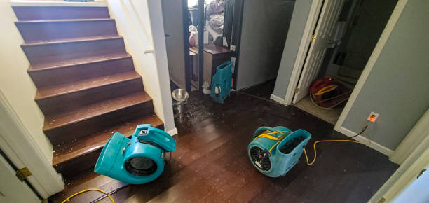 Best Basement water damage restoration  in Fort Dix, NJ