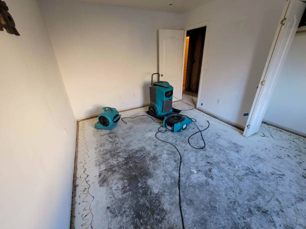 Best Ceiling water damage repair  in Fort Dix, NJ
