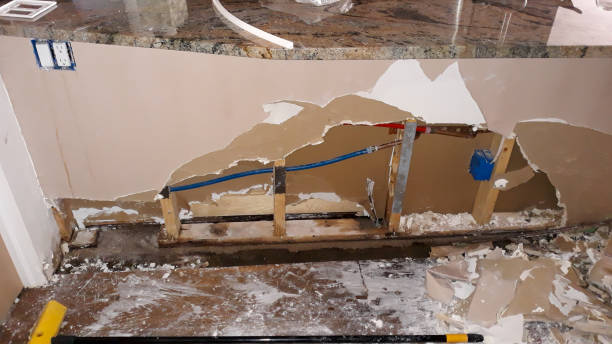 Best Local water damage restoration  in Fort Dix, NJ