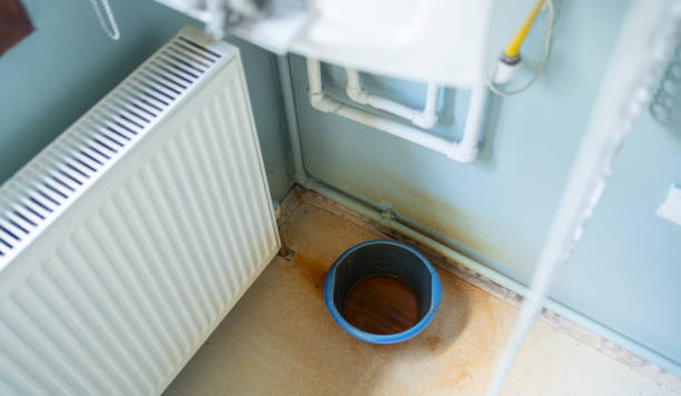 Best Mold removal after water damage  in Fort Dix, NJ