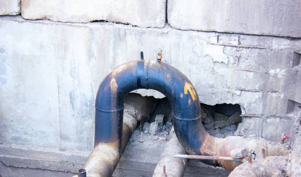 Best Carpet water damage restoration  in Fort Dix, NJ
