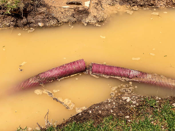 Best Professional water damage repair  in Fort Dix, NJ